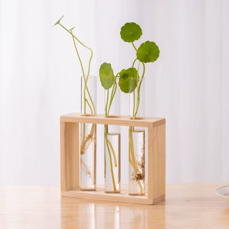 1 Set Creative Hydroponic Plants Container with Wood Frame Transparent Glass Test Tube Vase Bonsai Home Desktop Decor Crafts