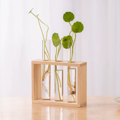 1 Set Creative Hydroponic Plants Container with Wood Frame Transparent Glass Test Tube Vase Bonsai Home Desktop Decor Crafts