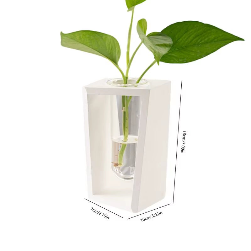Minimalist Test Tube Wood Hydroponic Green Planter Holder Transprent Glass Vase Plant Holder Flower Stand Plant for Home Decor