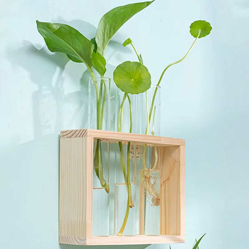 1 Set Creative Hydroponic Plants Container with Wood Frame Transparent Glass Test Tube Vase Bonsai Home Desktop Decor Crafts