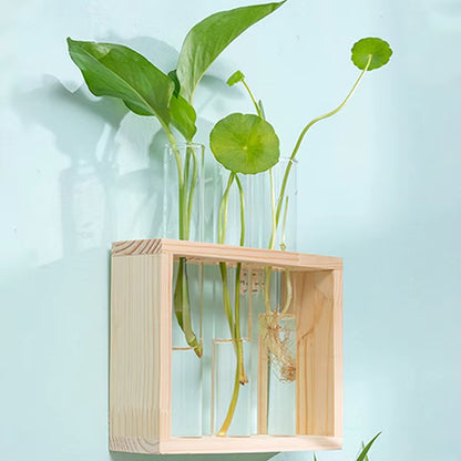 1 Set Creative Hydroponic Plants Container with Wood Frame Transparent Glass Test Tube Vase Bonsai Home Desktop Decor Crafts