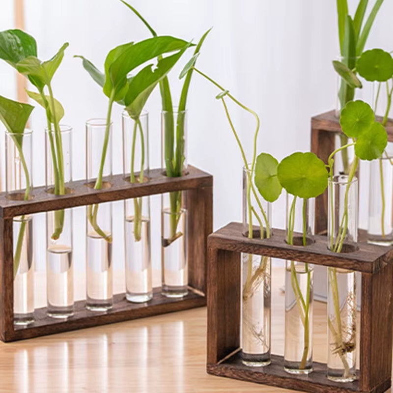1 Set Creative Hydroponic Plants Container with Wood Frame Transparent Glass Test Tube Vase Bonsai Home Desktop Decor Crafts