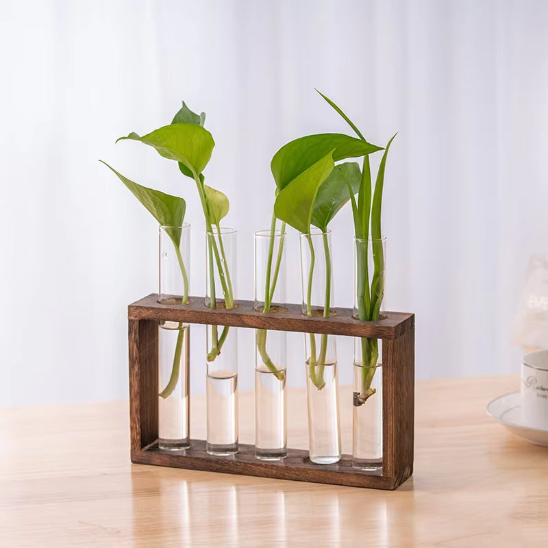 1 Set Creative Hydroponic Plants Container with Wood Frame Transparent Glass Test Tube Vase Bonsai Home Desktop Decor Crafts