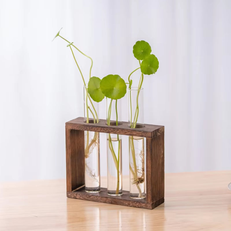 1 Set Creative Hydroponic Plants Container with Wood Frame Transparent Glass Test Tube Vase Bonsai Home Desktop Decor Crafts