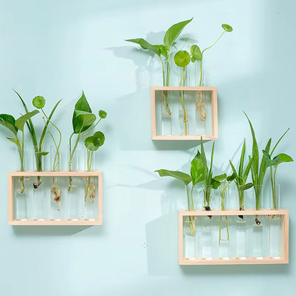 1 Set Creative Hydroponic Plants Container with Wood Frame Transparent Glass Test Tube Vase Bonsai Home Desktop Decor Crafts