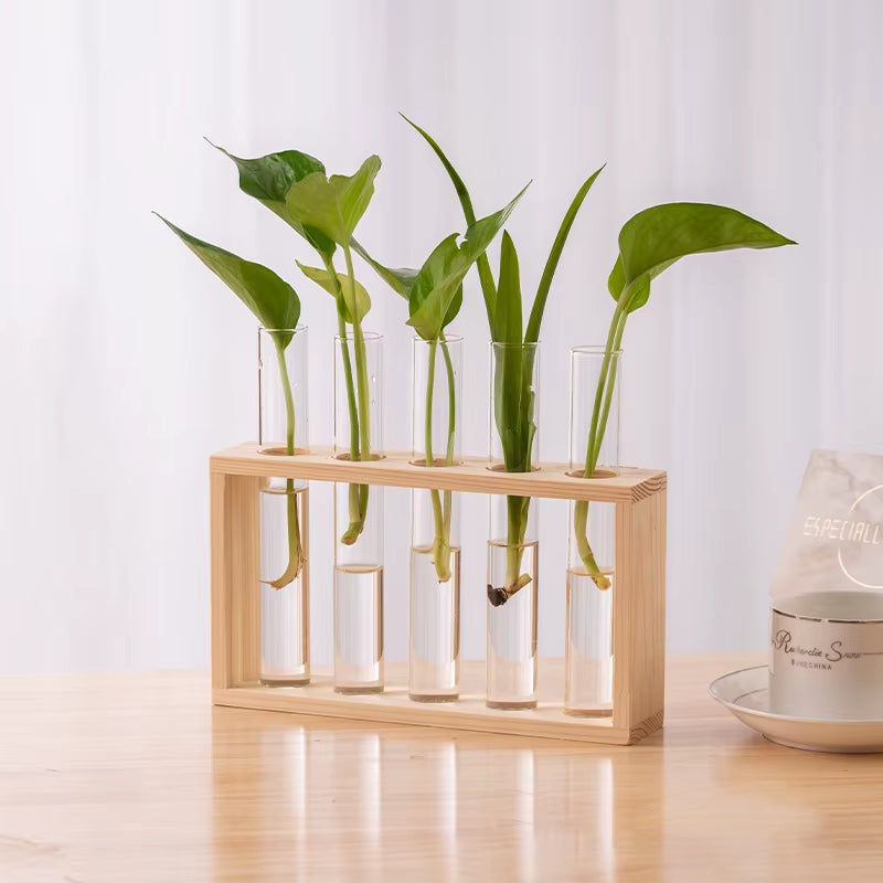 1 Set Creative Hydroponic Plants Container with Wood Frame Transparent Glass Test Tube Vase Bonsai Home Desktop Decor Crafts