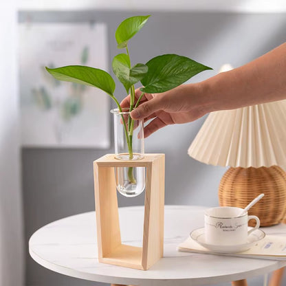 Minimalist Test Tube Wood Hydroponic Green Planter Holder Transprent Glass Vase Plant Holder Flower Stand Plant for Home Decor