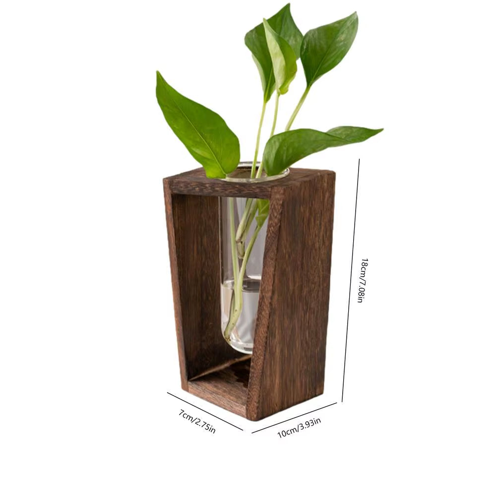 Minimalist Test Tube Wood Hydroponic Green Planter Holder Transprent Glass Vase Plant Holder Flower Stand Plant for Home Decor
