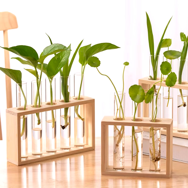 1 Set Creative Hydroponic Plants Container with Wood Frame Transparent Glass Test Tube Vase Bonsai Home Desktop Decor Crafts