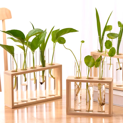 1 Set Creative Hydroponic Plants Container with Wood Frame Transparent Glass Test Tube Vase Bonsai Home Desktop Decor Crafts